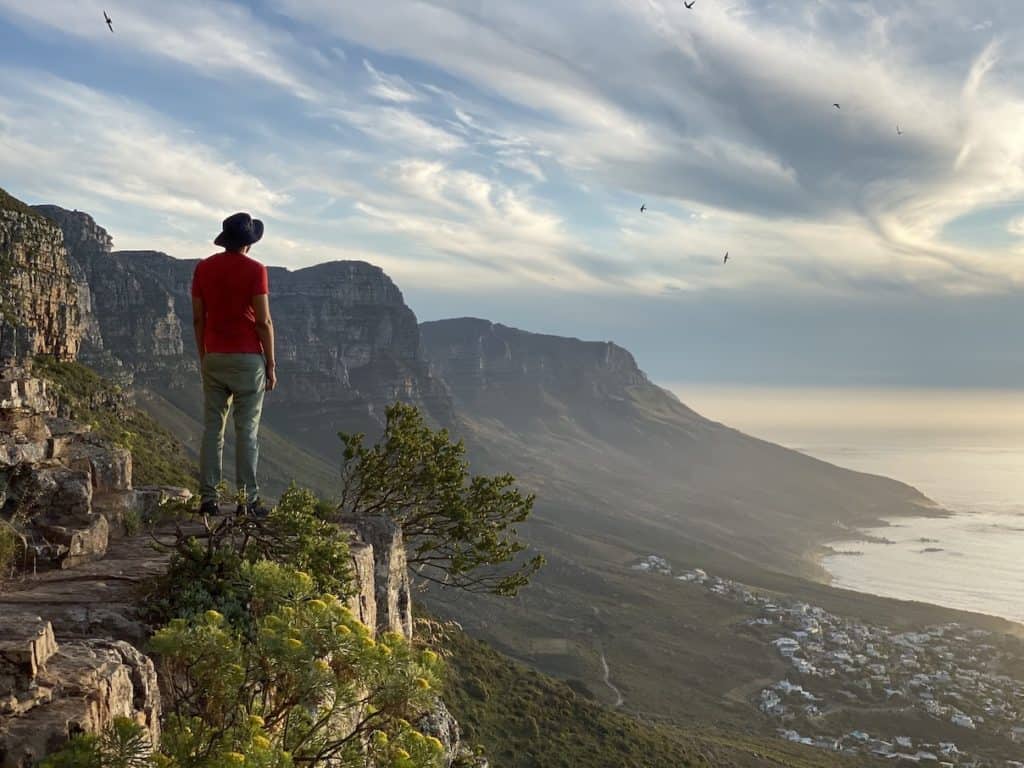 sustainable things to do in cape town